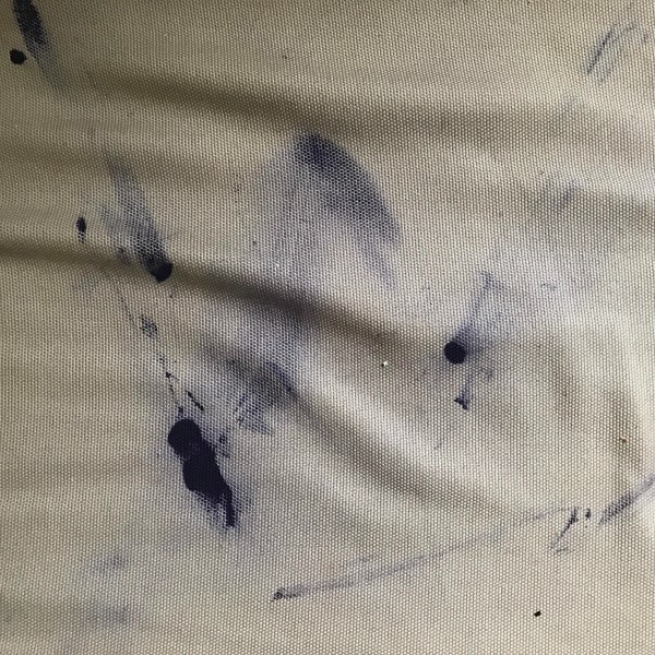 how to get pen out of couch