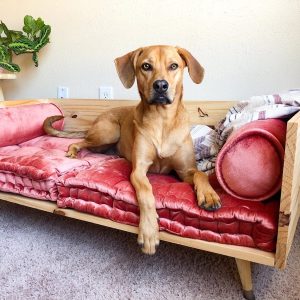 how to make a dog bed with sides