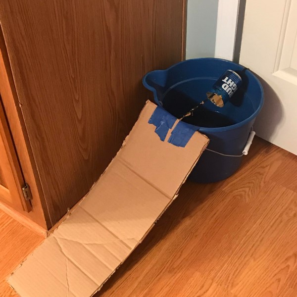diy mouse trap
