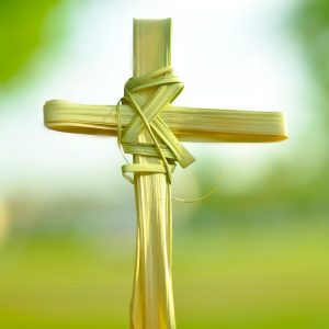palm leaf cross