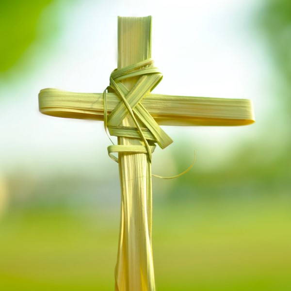 palm leaf cross