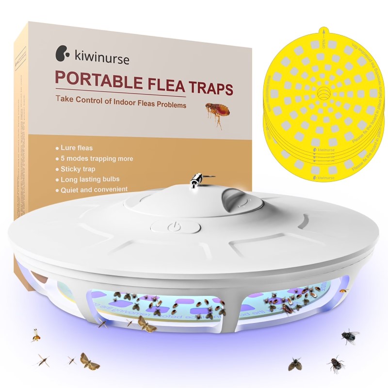 flea traps