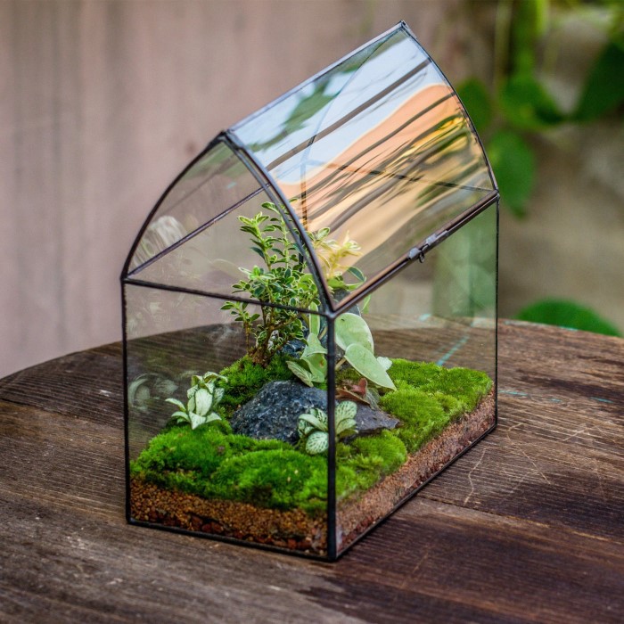 closed terrarium