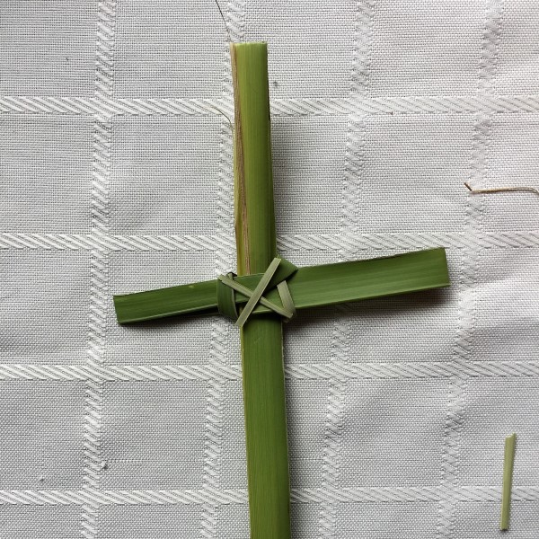 palm leaf cross