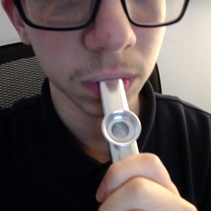 how to play a kazoo